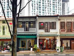 Tanjong Pagar Conservation Area (D2), Shop House #460345011